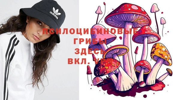 каннабис Алексеевка