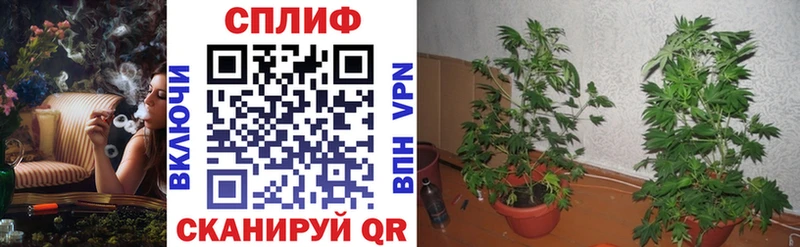 Конопля LSD WEED Алапаевск